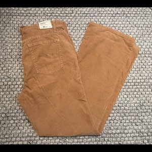 J Crew Corduroy Pants